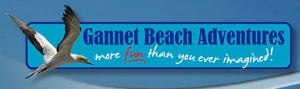 Baypex Gannet beach Adventures logo
